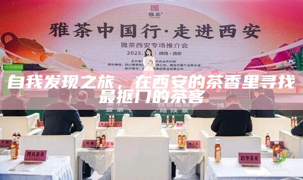 自我发现之旅，在西安的茶香里寻找最抠门的茶客